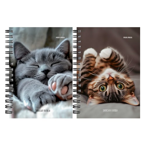 Записная книжка А6, 120л. МИЛЫЕ КОТИКИ - 6, ЗК120-3019