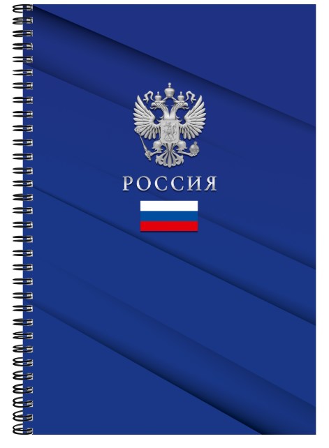 Тетради КЛЕТКА А4 60л.СИМВОЛИКА РОССИИ, гребень, цвет.мелов.обложка, 60-8998