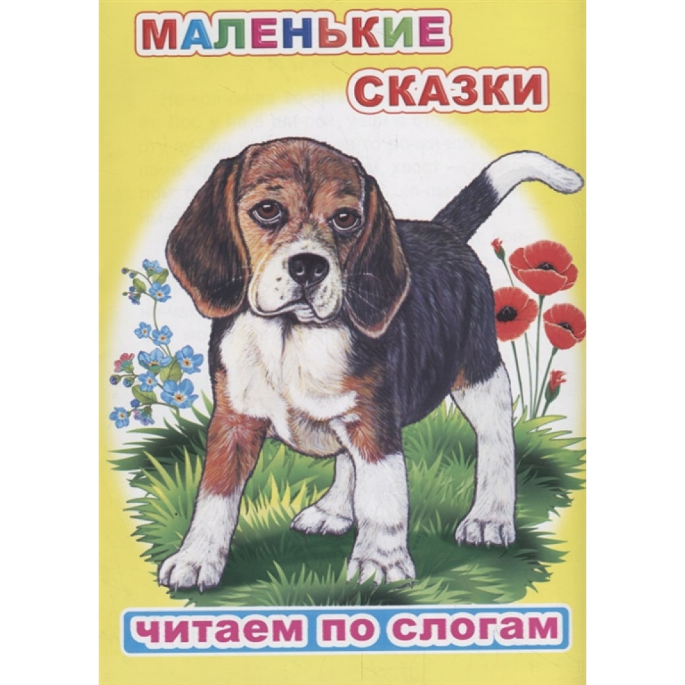 Книга ЧПС. Маленькие сказки, 978-5-00033-675-5
