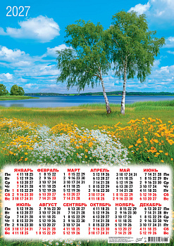 Календарь листовой А2, 2027 год, Природа. Берёзки на лугу, ПО-27-166